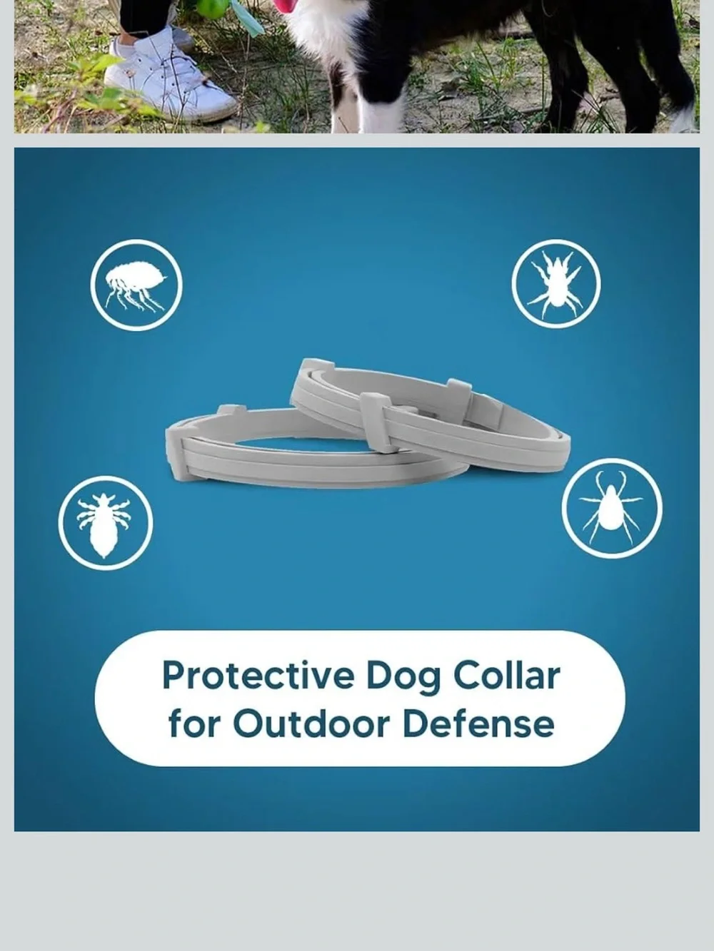 Brand new 2 packs Flea & Tick Collar for Dogs